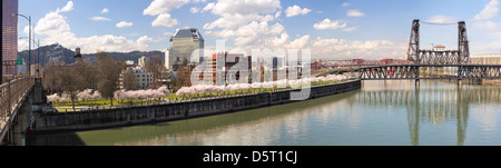 Kirschblüte Bäume entlang Portland Oregon Waterfront Willamette River mit historischen Brücken im Frühjahr Saison Panorama Stockfoto