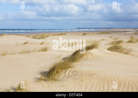 Blick Richtung Redcar von Sanddünen am Strand von Coatham. Redcar, Redcar und Cleveland, England, UK Stockfoto