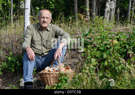 Korb mit Boletus Edulis auf Rasen Stockfoto