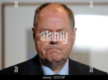 Ausgewiesenen Kanzlerkandidat der SPD, Peer Steinbrück, Gespräche mit Journalisten am Willy-Brandt-Haus nach seinem Treffen mit dem Vorsitzenden des spanischen Sozialdemokraten (PSOE), Rubalcaba, in Berlin, Deutschland, 21. November 2012. Foto: Britta Pedersen Stockfoto