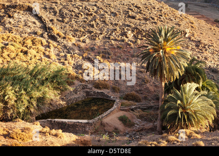 Barranco De La Madre de Agua, in der Nähe von Ajuy, Fuerteventura, Kanarische Inseln, Spanien Stockfoto