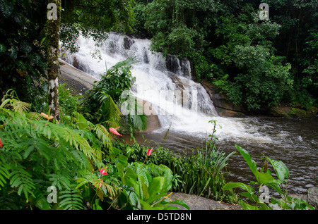 Brasilien, Parati (aka Paraty). Mata Atlântica, Serra da Bocaina Nationalpark. Regenwald-Wasserfall. Stockfoto