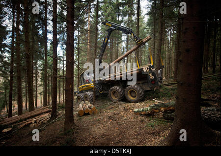 Ein Spediteur Fahrzeug sammelt Holz während der Holzernte durch den sächsischen Staat Forstdienst im Stadtteil Unger Wald in der Nähe von Neustadt, Deutschland, 26. November 2012. Rund 1,5 Hektar und 10 Prozent der Fläche der Oberförsterei werden planmäßig verdünnt werden. Fast 80.000 Kubikmeter Holz mit einem Wert von rund 4,2 Millionen Euro werden geerntet werden. Foto: Arno Burgi Stockfoto