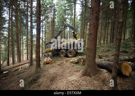 Ein Spediteur Fahrzeug sammelt Holz während der Holzernte durch den sächsischen Staat Forstdienst im Stadtteil Unger Wald in der Nähe von Neustadt, Deutschland, 26. November 2012. Rund 1,5 Hektar und 10 Prozent der Fläche der Oberförsterei werden planmäßig verdünnt werden. Fast 80.000 Kubikmeter Holz mit einem Wert von rund 4,2 Millionen Euro werden geerntet werden. Foto: Arno Burgi Stockfoto