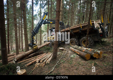 Ein Spediteur Fahrzeug sammelt Holz während der Holzernte durch den sächsischen Staat Forstdienst im Stadtteil Unger Wald in der Nähe von Neustadt, Deutschland, 26. November 2012. Rund 1,5 Hektar und 10 Prozent der Fläche der Oberförsterei werden planmäßig verdünnt werden. Fast 80.000 Kubikmeter Holz mit einem Wert von rund 4,2 Millionen Euro werden geerntet werden. Foto: Arno Burgi Stockfoto