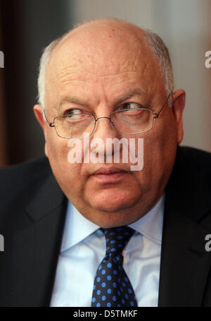 Ägyptischen Investor Mohamad Rady Amar sitzt in th Elounge von Luebeck Blankensee Airport in Lübeck, 28. November 2012. Der Bürgermeister von Lübeck hat die Stadtregierung, Amar Angebot am Flughafen kaufen anzunehmen empfohlen. Foto: MARKUS SCHOLZ Stockfoto