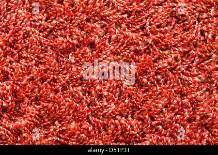 Roten weichen Teppich Closeup Hintergrundtextur Stockfoto