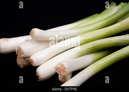 Frische Baby Lauch auf isoliert auf einem schwarzen Hintergrund Stockfoto