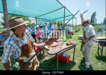 Braten von Schwein am Spieß auf einem Bauernhof in Rancagua, Chile Stockfoto