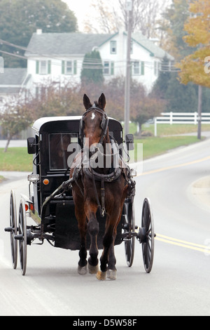 Pferd und Buggy Pennsylvania Dutch Lancaster County, amische, Mennoniten, einfaches Leben, Wagen, Wagen, Religionsfreiheit, Stockfoto