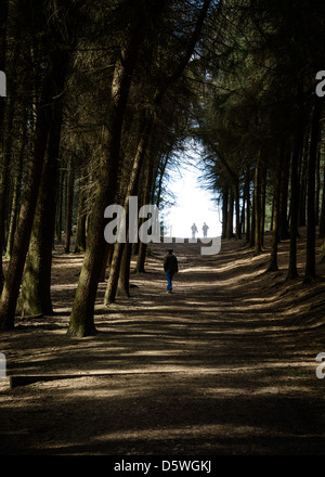 Das Licht am Ende eines dunklen Waldes bei Beacon fiel. Stockfoto