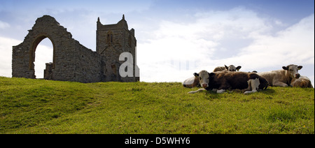 Rinder neben den Ruinen der St. Michael Kirche, Graben prahlen, Somerset, Großbritannien Stockfoto