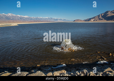 Los Angeles Wasser zurück zu Owens Lake 100 Jahre nach dem Bau Los Angeles Aquädukt Stockfoto