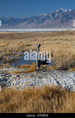 Los Angeles Wasser zurück zu Owens Lake 100 Jahre nach dem Bau Los Angeles Aquädukt Stockfoto