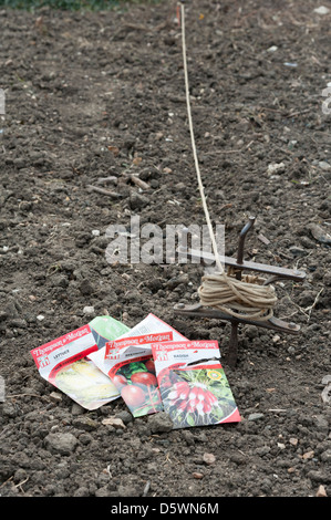 Pakete von Gemüsesamen, liegend auf dem Boden in einem Gemüsegarten bereit für die Bepflanzung. Zeigt Markierungslinie und einem Bohrer hinter. Stockfoto