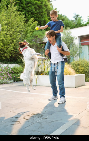 Vater und Sohn spielen mit Hund im freien Stockfoto