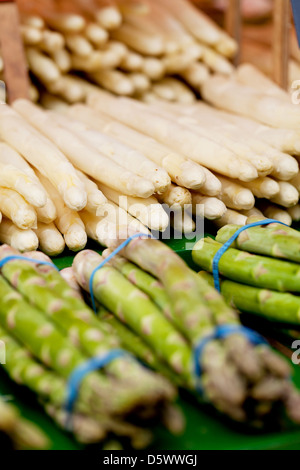 Sammlung von saisonalen frischen Spargel Gemüse auf Markt Stockfoto