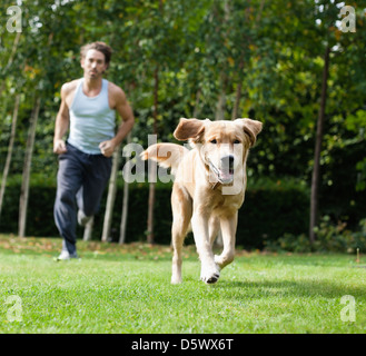 Mann mit Hund im Park läuft Stockfoto