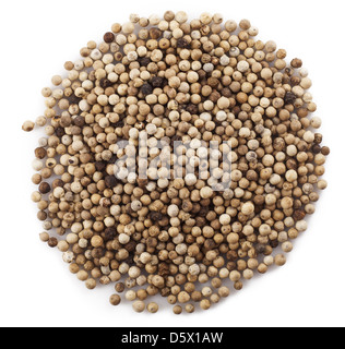 Weißer Pfeffer Körner isoliert auf weißem Hintergrund Stockfoto