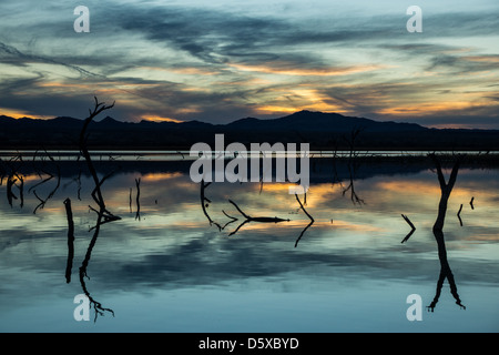 Wüste Feuchtgebiete Sonnenuntergang Stockfoto