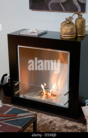 Bioethanol Kamin, renoviert grünes Heim, Venice, Kalifornien Stockfoto