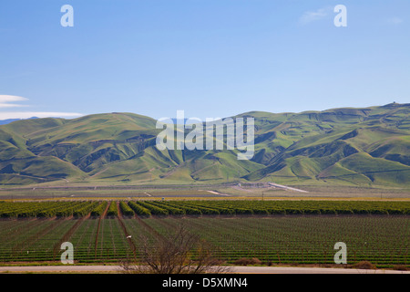 Kulturen und sanften Hügeln, San Joaquin Valley, Kern County, Kalifornien, USA Stockfoto