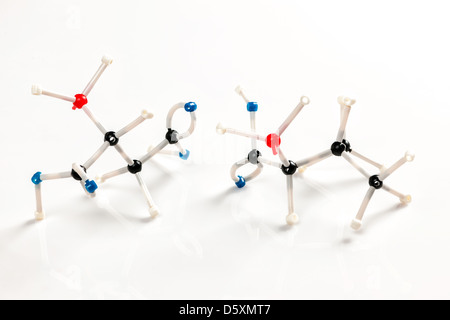 Struktur der Valin und Asparagin Aminosäure-Moleküle mit molekularen Modell Bausatz vertreten Stockfoto