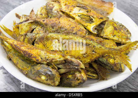 Frittierte ganze Selar Kuning Fisch mit Curry Pulver Closeup Stockfoto