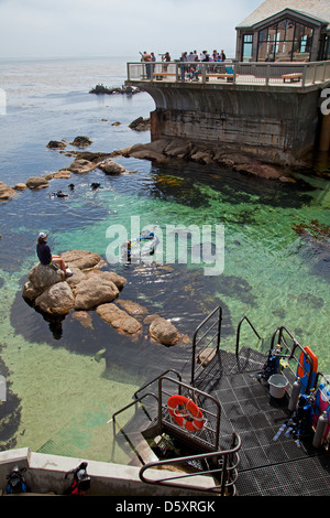 Monterey Bay Aquarium in Monterey, Kalifornien, USA Stockfoto