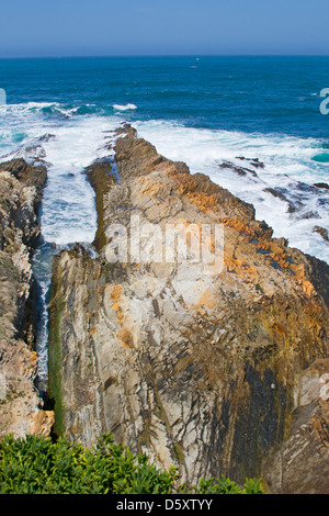 Montaña de Oro State Park, San Luis Obispo County, Kalifornien, USA Stockfoto