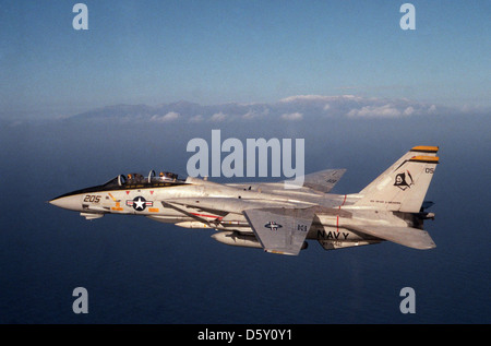 Grumman F-14 "Tomcat" von FS VF-142 "geisterreiter" zum 1. Januar 1985. VF-142 wurde Carrier Air Wing 7 (CVW-7) an Bord der USS Dwight D. Eisenhower (CVN-69) zugeordnet. Stockfoto