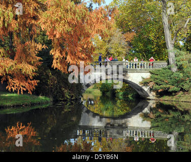 Eine Brücke in Wörlitz Park spiegelt sich in einem See in Wörlitz, Deutschland, 20. Oktober 2012. Das Gartenreich Dessau-Wörlitz oder englischer Garten Wörlitz umfasst 142 qkm und ist der erste und größte englische Park in Deutschland. Es ist seit mehr als zehn Jahren zum UNESCO-Weltkulturerbe Culutral. Foto: Waltraud Grubitzsch Stockfoto