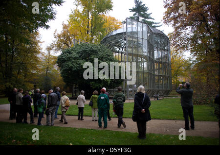 Eine Kamelie, die mehr als 240 Jahre alt und etwa neun Meter hoch ist wird in sein Winterquartier im Garten Pillnitz Schloss in Dresden, Deutschland, 23. Oktober 2012 gebracht. Im Winter wird der Baum durch ein Glashaus auf Schienen geschützt. Foto: ARNO BURGI Stockfoto