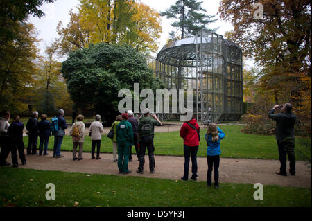 Eine Kamelie, die mehr als 240 Jahre alt und etwa neun Meter hoch ist wird in sein Winterquartier im Garten Pillnitz Schloss in Dresden, Deutschland, 23. Oktober 2012 gebracht. Im Winter wird der Baum durch ein Glashaus auf Schienen geschützt. Foto: ARNO BURGI Stockfoto