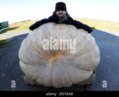 Kleines Mädchen posiert Witz mit einem riesigen Kürbis auf einem Bauernhof in Blomesche Wildnis, Deutschland, 28. Oktober 2012. Der Kürbis hat ein Gewicht von 555,4 kg. Foto: Carsten Rehder Stockfoto