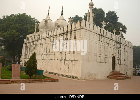 Die Moschee aus weißem Marmor mit drei Kuppeln des Moti Masjid auf dem Gelände des Roten Forts in Alt-Delhi, Indien Stockfoto