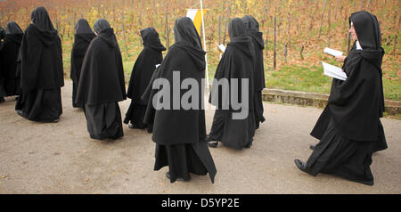 Eine Prozession führt durch die Weinberge in Rüdesheim am Rhein, Deutschland, 1. November 2012. Anlässlich des Termins von Hildegard von Bingen (ca. 1098 bis 1179) als Doktor der Kirche fand ein Pontifikalamt im St. Hildegard Abbey statt. Foto: Fredrik von Erichsen Stockfoto