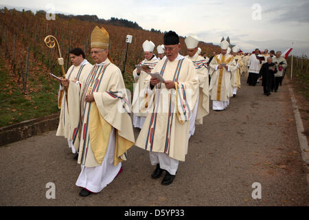 Vorsitzender der Deutschen Bischofskonferenz, Erzbischof Robert Zollitsch (2 L) führt eine Prozession durch die Weinberge in Rüdesheim am Rhein, Deutschland, 1. November 2012. Anlässlich des Termins von Hildegard von Bingen (ca. 1098 bis 1179) als Doktor der Kirche fand ein Pontifikalamt im St. Hildegard Abbey statt. Foto: Fredrik von Erichsen Stockfoto