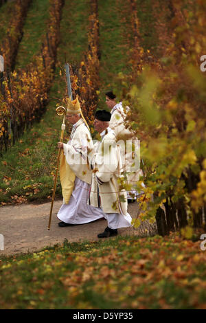 Vorsitzender der Deutschen Bischofskonferenz, Erzbischof Robert Zollitsch (2 L) führt eine Prozession durch die Weinberge in Rüdesheim am Rhein, Deutschland, 1. November 2012. Anlässlich des Termins von Hildegard von Bingen (ca. 1098 bis 1179) als Doktor der Kirche fand ein Pontifikalamt im St. Hildegard Abbey statt. Foto: Fredrik von Erichsen Stockfoto