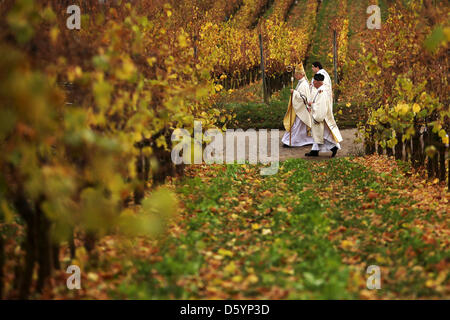 Vorsitzender der Deutschen Bischofskonferenz, Erzbischof Robert Zollitsch (L) führt eine Prozession durch die Weinberge in Rüdesheim am Rhein, Deutschland, 1. November 2012. Anlässlich des Termins von Hildegard von Bingen (ca. 1098 bis 1179) als Doktor der Kirche fand ein Pontifikalamt im St. Hildegard Abbey statt. Foto: Fredrik von Erichsen Stockfoto