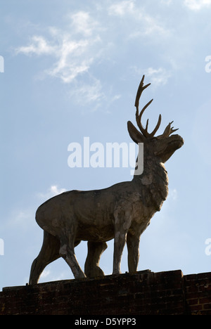 Hirsch auf den Wildpark, Hirsch Tor auf dem Drax Anwesen im Dorf Winterbourne Zelston, Dorset UK. HOMER SYKES Stockfoto