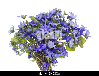 Strauß aus ersten Federn Blumen Stockfoto