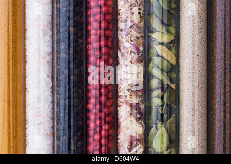 Eine Auswahl von Kräutern und Gewürzen in Glasröhren in der Küche. Stockfoto