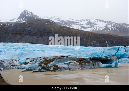 Das blaue Eis des Skaftafellsjökull Gletscher in Island endet in einem See Stockfoto