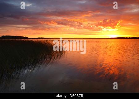 See Saadjärv bei Sonnenuntergang. Estland, Europa Stockfoto