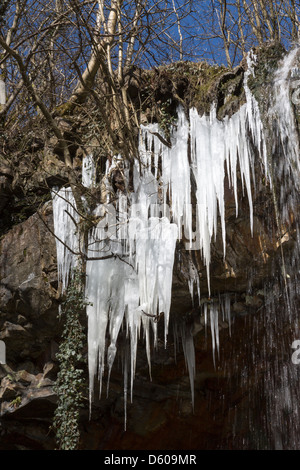 Eiszapfen in Clydach Schlucht, Wales, Großbritannien Stockfoto