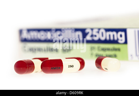 Amoxycillin 250mg Kapseln für Penicillin-Behandlung Stockfoto