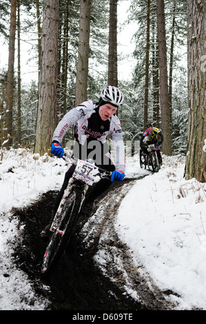 Sherwood Kiefern XC-MTB Runde 1 2013. Stockfoto