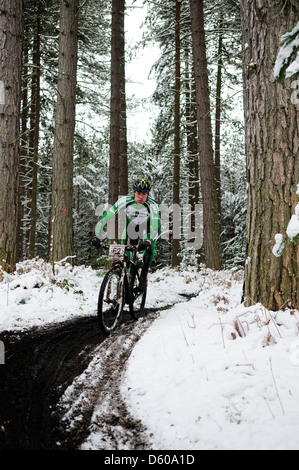 Sherwood Kiefern XC-MTB Runde 1 2013. Stockfoto