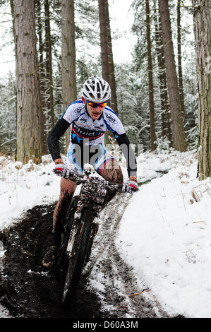 Sherwood Kiefern XC-MTB Runde 1 2013. Stockfoto